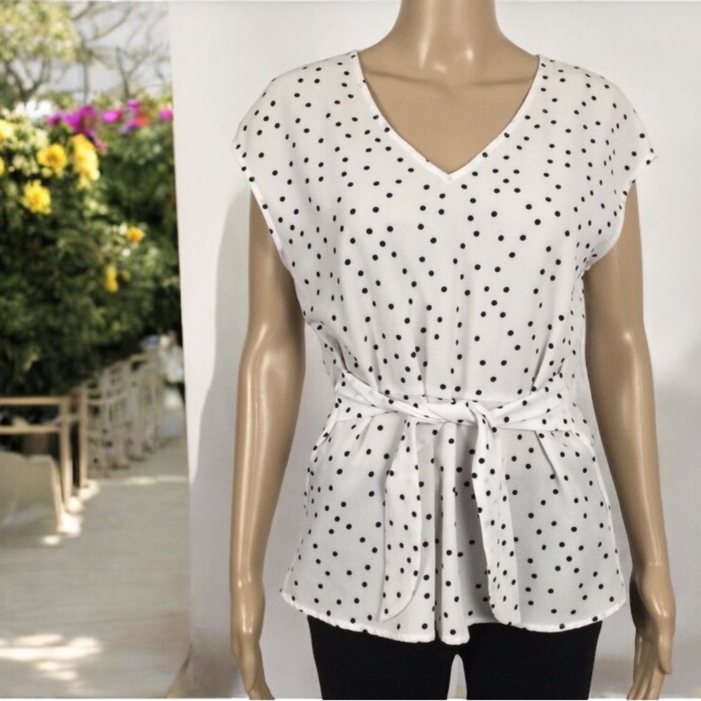 CLEO Cap Sleeve V-Neck Black Polka Dots on White background, Tie Belt